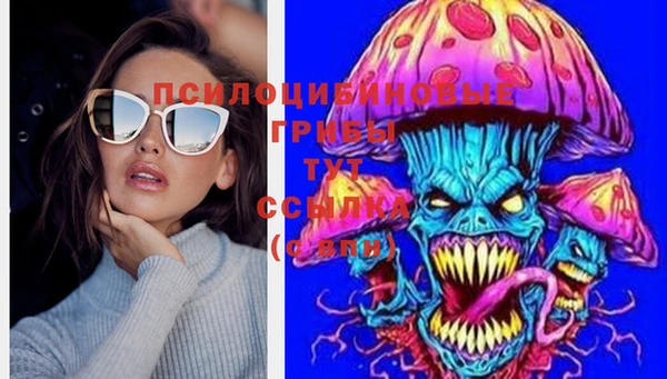 амф Медвежьегорск