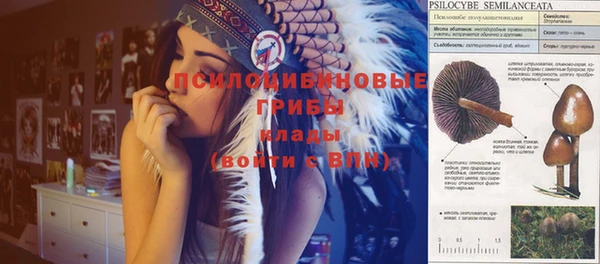 дмт Магадан