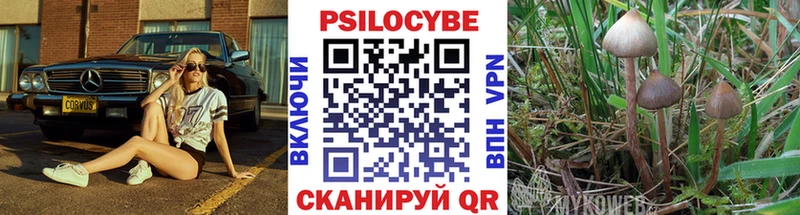 Галлюциногенные грибы Psilocybine cubensis  Купить  Мензелинск 
